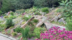 Rocky Mountain Rock Gardens Part I