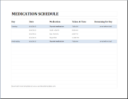 Daily Medication Schedule Template Ms Excel Word Excel