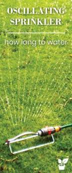 Can cause runoff when water applied too quickly; How Long To Water Lawn With Oscillating Sprinkler Lawn Tips