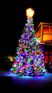 Heart Of Christmas Merry Christmas Love Sarasota Fl
