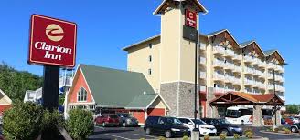 dog friendly hotels in pigeon forge