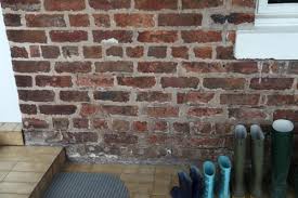 managing damp problems in old buildings