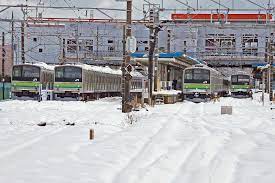 さらば横浜線205系 雪景色PART2