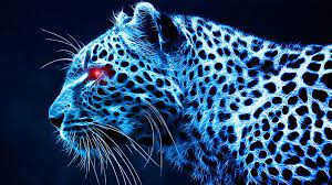 cheetah hd wallpaper pxfuel