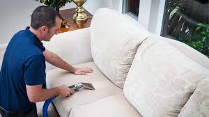upholstery cleaning maxcare carpet