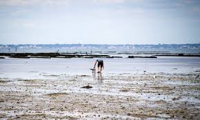 Prudence en Vendée, la pêche à pied interdite à Noirmoutier-en-l’île