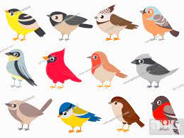 cute birds hand drawn little colorful