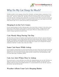 Some cats snore frequently while others might snore occasionally. Why Do My Cat Sleep So Much Canadavetexpress By Canadavetexpress Issuu