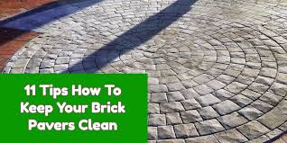 Cleaning pavers with vinegar is a great way to get rid of stubborn moss, algae and stains on brick. 11 Tips How To Keep Your Brick Pavers Clean Euro Paving