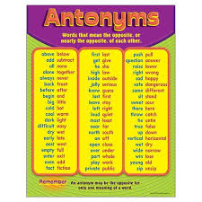 Antonyms Chart Learning Sight Words Learning Spanish