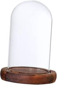 Tenlacum Clear Glass Dome With Wooden