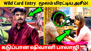 Here we will be coming up with a probable however, there are wild card entries similar to before seasons and will be revealed later. Wild Card Entry à®® à®²à®® à®® à®°à®Ÿ à®Ÿ à®¯ Azeem à®•à®Ÿ à®ª à®ª à®© Shivani Balaji Bigg Boss 4 Tamil Vijay Tv Youtube