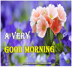 very beautiful good morning images