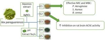 full article green synthesis of silver