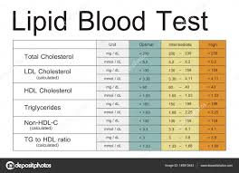 template with lipid blood test concept