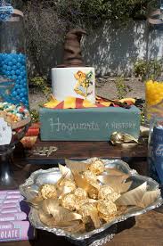 outdoor harry potter birthday party