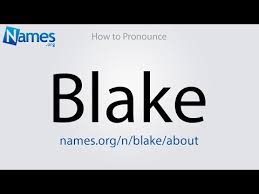 Many small balls of metal shot from a shotgun 2. What Does The Name Blake Mean