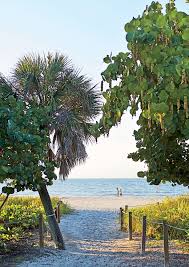Somewhere in lee county, florida lies every new and experienced shellers dream. 8 Reasons We Love Sanibel Island Florida Southern Living