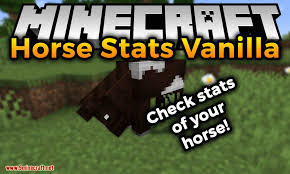 Unfortunately, minecraft's vanilla approach to lighting is not perfect. Horse Stats Vanilla Mod 1 17 1 1 16 5 Check Stats Of Your Horse 9minecraft Net