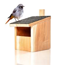 maison animaux mangeoire pour oiseaux