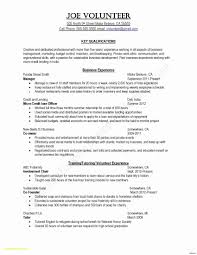 Cover Letter For Resume Examples New Resume In Paragraph Form Sample