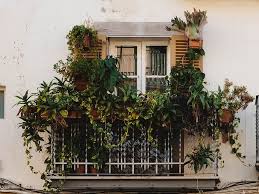 Vertical Garden In Your Balcony