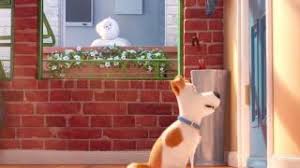 Read honest and unbiased product reviews from our users. The Secret Life Of Pets Movie Review