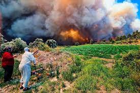 В настоящее время пожары продолжаются в анталье, адане, мерсине, мугле, османийе и кайсери. J47i3furi2eumm