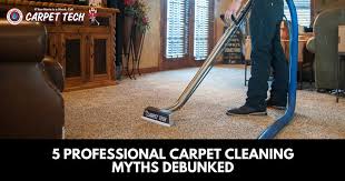 5 professional carpet cleaning myths