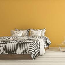 The Best Paint Colors For Rooms With