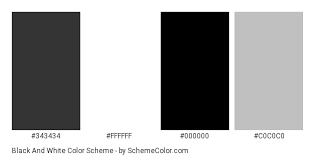 How does the colorization process work? Black And White Color Scheme Black Schemecolor Com
