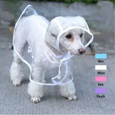 Raincoat For Dogs Petsmart Goldenacresdogs Com