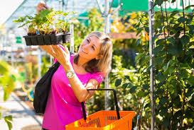 the best garden centres near you in and