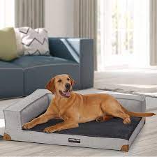 We list the pros and cons of each bed, along with considering other dog bed options you might like to look at. A Review Of The 10 Best Costco Dog Beds Certapet Best