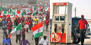 Count us out of Nationwide strike&quot; — Petrol marketers tells NLC, reveals  why | Lovablevibes | South Africa | Nigeria | Africa | WORLD |  Entertainment &amp; News
