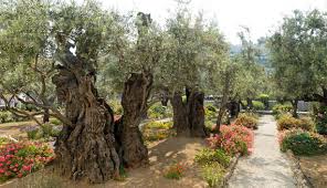eden and gethsemane two gardens and