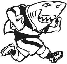 sharks rugby mascotte transpa png