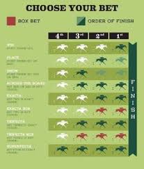 7 Best Horse Racing Betting And Terms Images Horse Racing