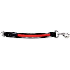 Good2go Led Light Up Lead Extension For Dogs Petco
