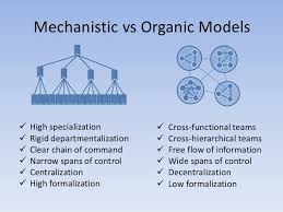 18 Logical Organic Organizational Structure Chart