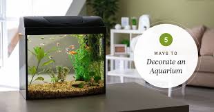 how to decorate your aquarium