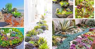 30 Marvelous Succulent Garden Ideas