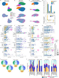 striatal neurons in human and rodent