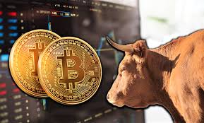 3 Reasons Why 2019 Bitcoin (BTC) Bull Run Will be Longer – BlockPublisher