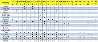 What Are The Characteristics Of Amino Acids Quora