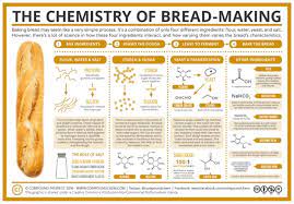 chemistry of bread making baking bread