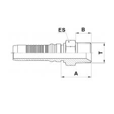 D190170 1212 Mn10p 12 12 Fitting Npt Male Crimp R9r