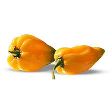 Bets are accepted on football: Chilli Habanero Yellow 250g Go Fresh