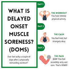 dela onset muscle soreness doms