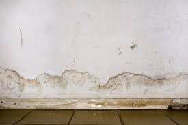 should you replace drywall if it gets wet